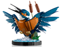 LEGO® Icons Kingfisher Bird set (10331)