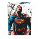 Sleeves: Dragon Shield: Limited Edition: Matte DUAL Art: Superman Core (Full Colour) (100) (EN)