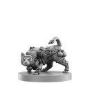 Animal Adventures Starter Set