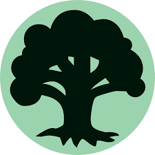 Magic: The Gathering - Land Packs - Forest