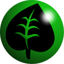 Pokemon: Energy Pack - 20 Grass Energy