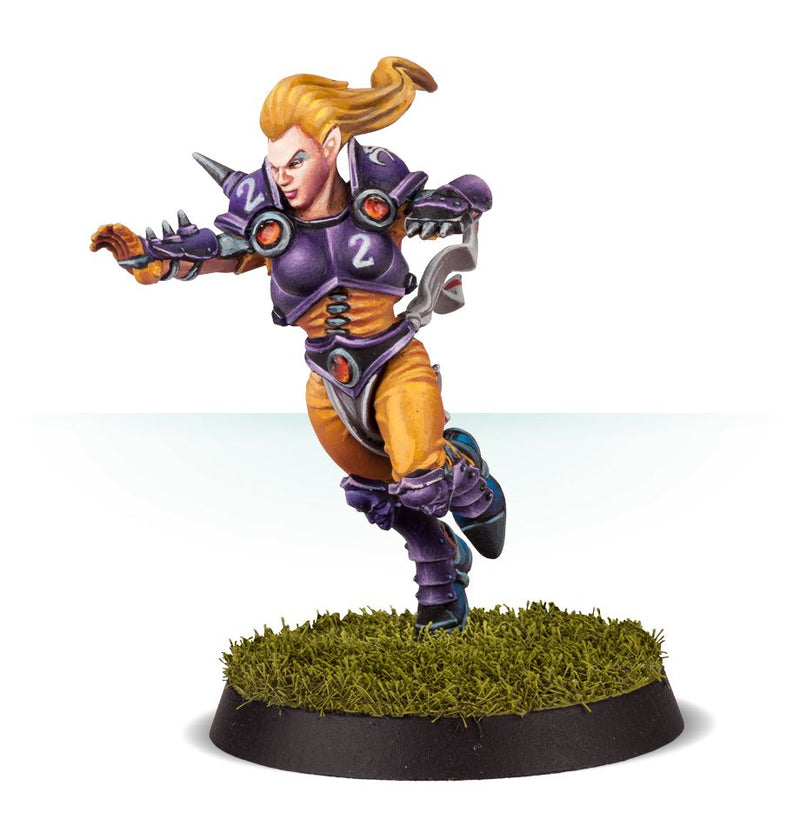 Elven Union Blood Bowl Team: The Elfheim Eagles